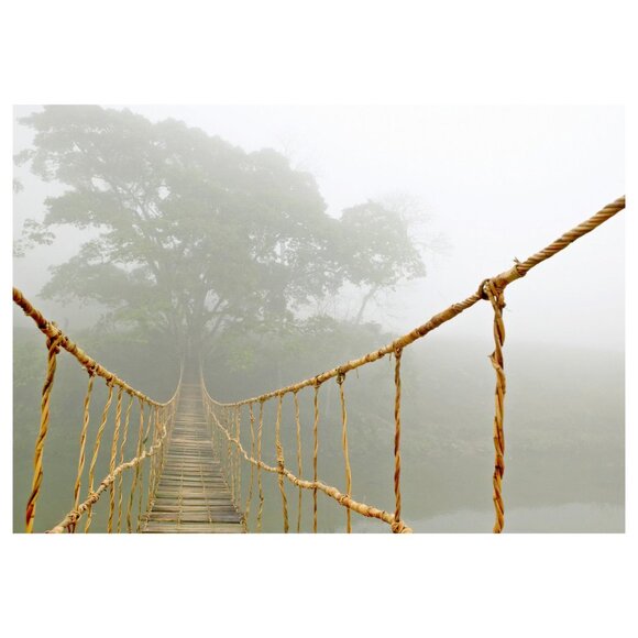 New IKEA BJÖRKSTA Picture Jungle Journey  55x39 ¼" 503.289.86 (canvas only) - Picture 1 of 1